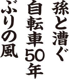 孫と漕ぐ 自転車50年 ぶりの風